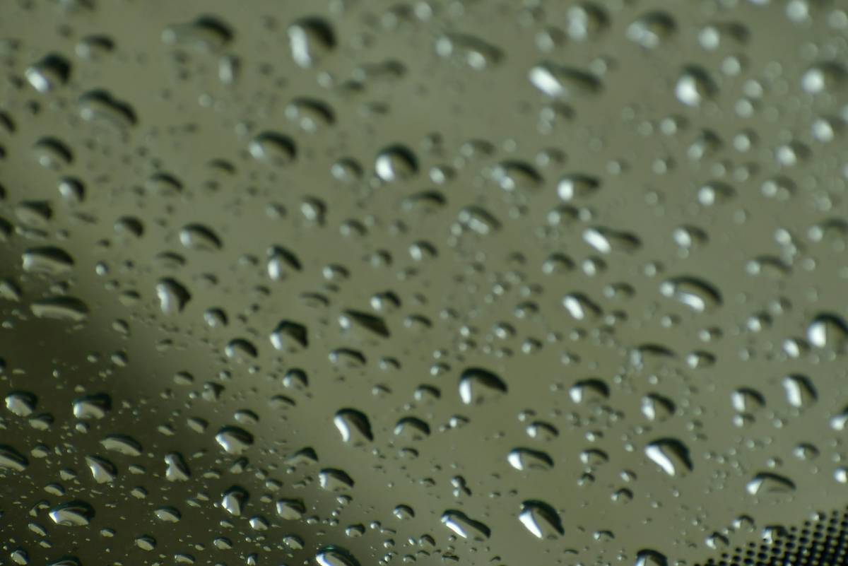 How Does Travel Protection Work: 7 Proven Ways to Avoid Costly Downpour Disasters